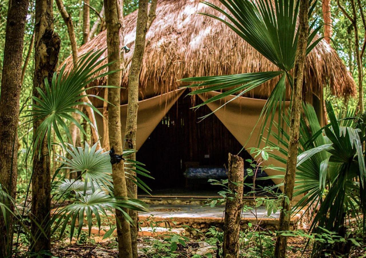 Akumal Natura Glamping Zewnętrze zdjęcie
