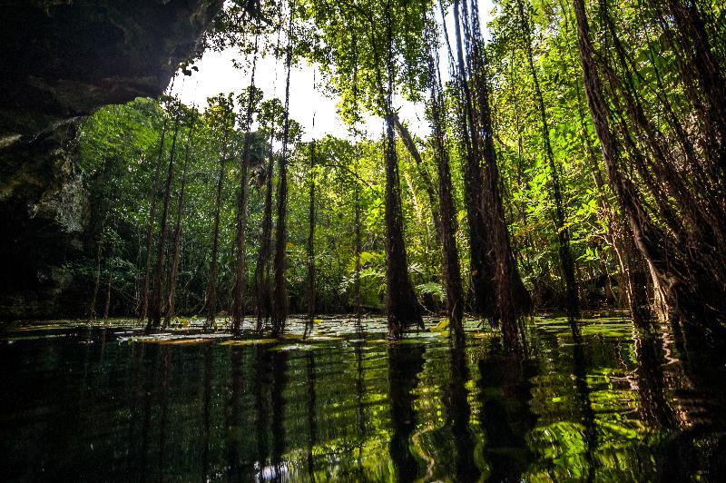 Akumal Natura Glamping Zewnętrze zdjęcie